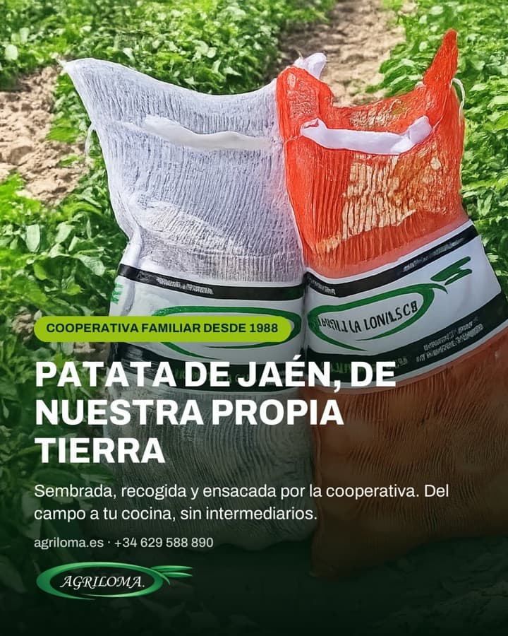 Agriloma post: Jaén potatoes from their own land