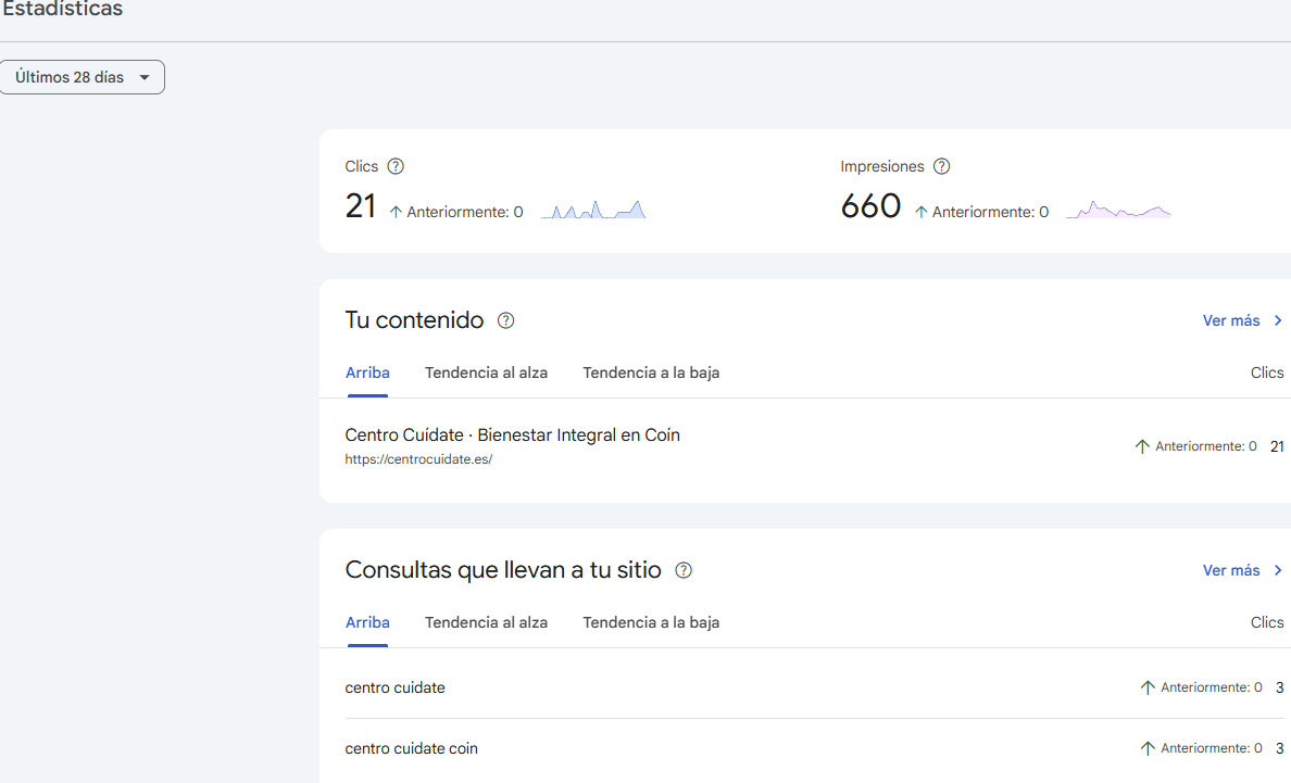 Presencia real en Google de un cliente de DAILYMP — resultados de posicionamiento conseguidos tras implementar la estrategia de contenido y SEO